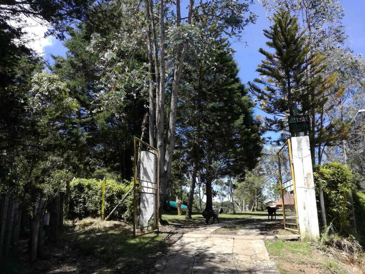 Al Bosque Hostel & Glamping Санта-Елена Екстер'єр фото