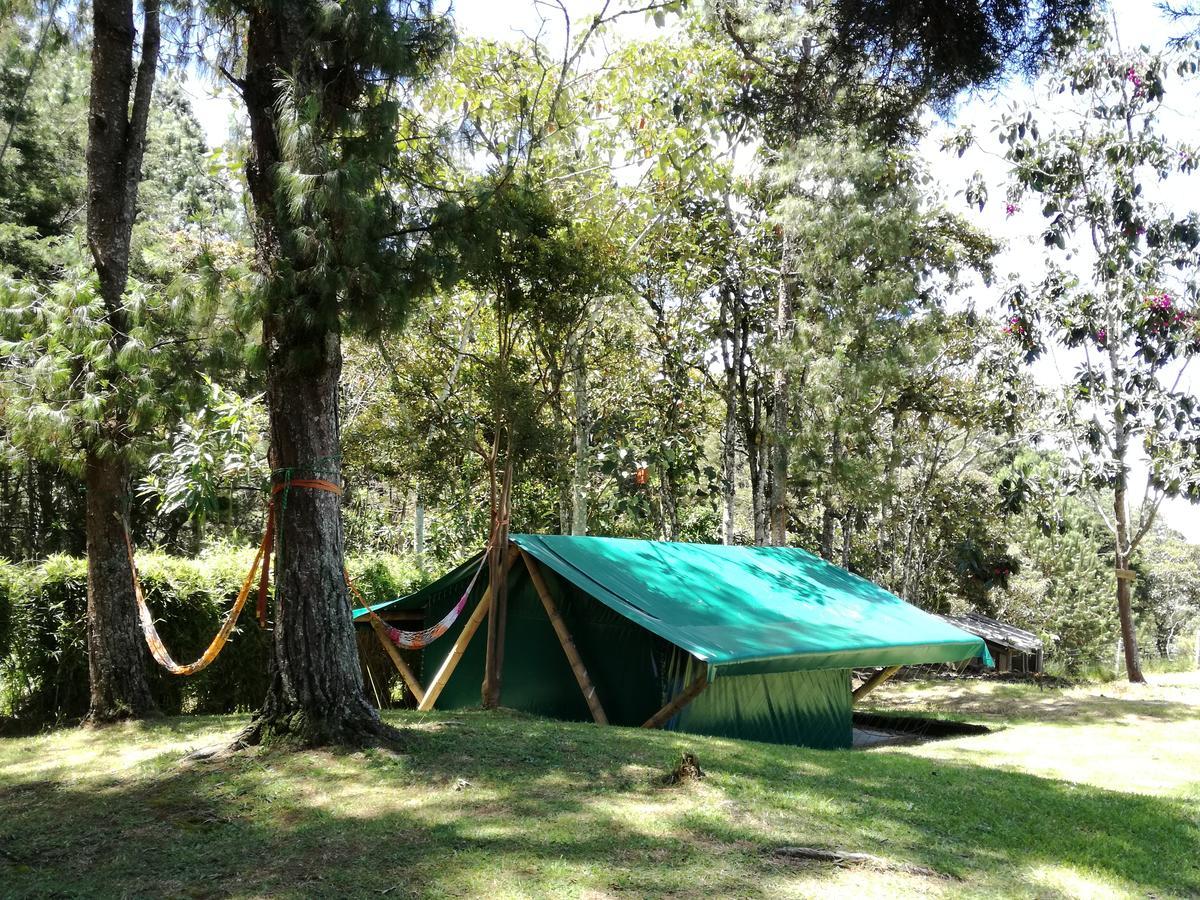 Al Bosque Hostel & Glamping Санта-Елена Екстер'єр фото